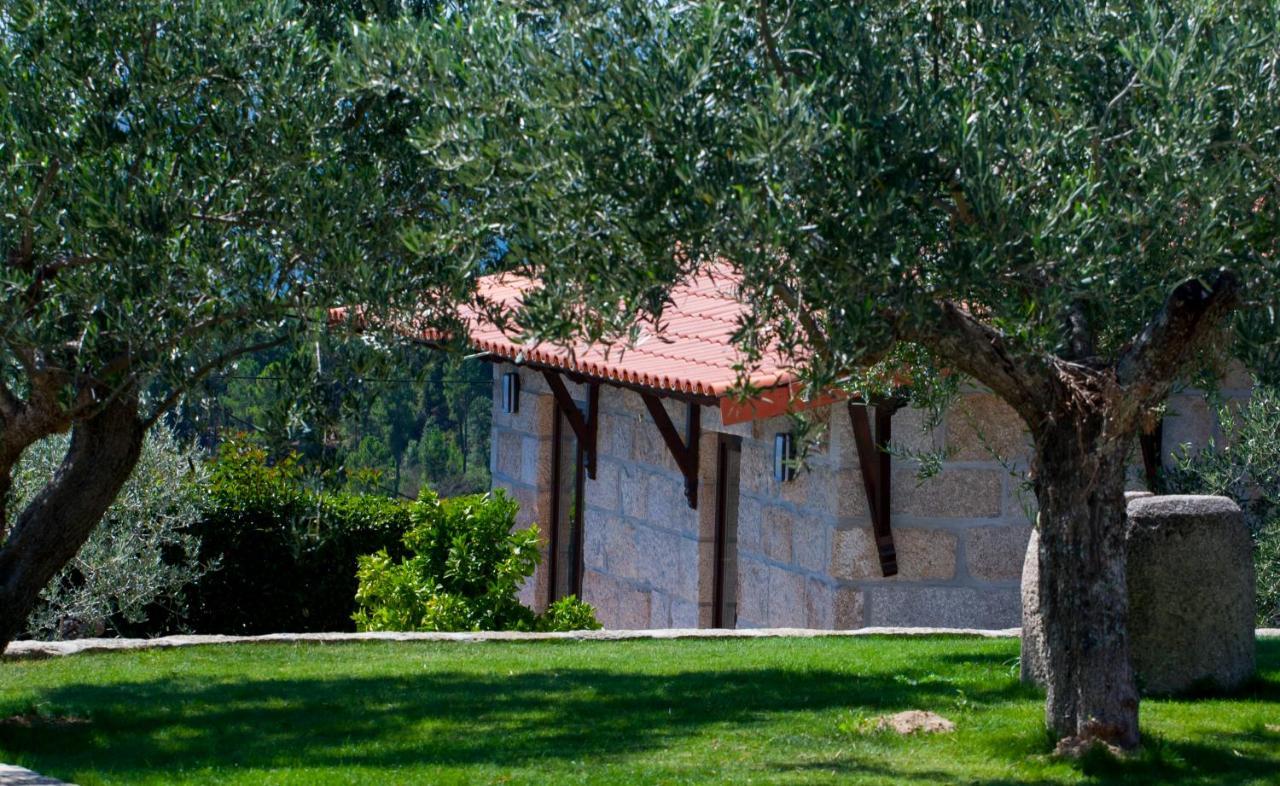 Penzion Quinta Do Olival Vilas Boas  Exteriér fotografie